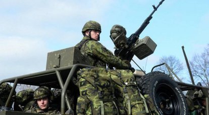 Чешская армия примет участие в международных миссиях в Ираке, Мали, Латвии и Литве