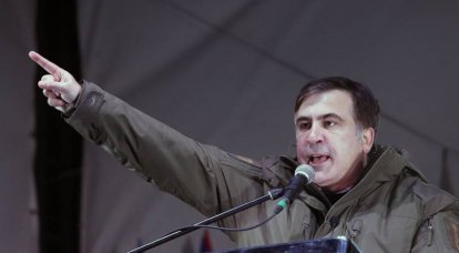 Саакашвили собрал очередное вече и предложил себя в премьер-министры