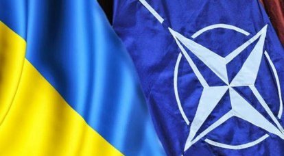 "Вопрос о вступлении Украины не стоит на повестке НАТО"
