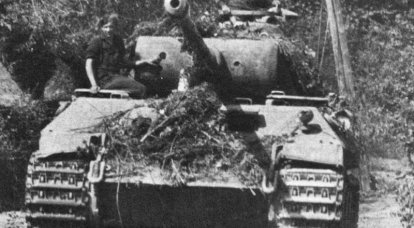 Tank Panther  - 第三帝国的挖掘者？