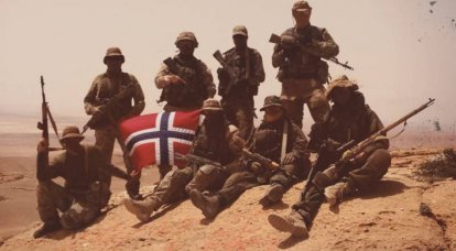 На чьей стороне сражались в Сирии норвежцы?