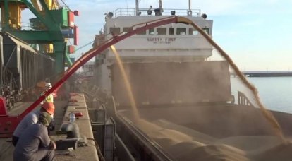 Украина потребовала распространить зерновую сделку на порты Николаевской области