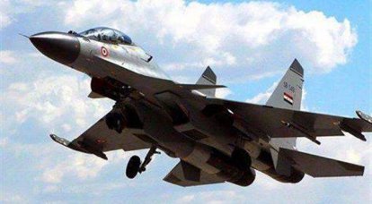 СМИ со ссылкой на Минобороны Ирака: Су-30 ВВС Ирака нанесли удары по позициям боевиков ИГИЛ