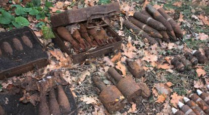 В Ленобласти три человека погибли при утилизации боеприпасов