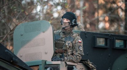Stampa polacca: Varsavia ha iniziato a inviare un contingente militare in Ucraina, con il pretesto di mercenari