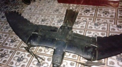 UAV disguised as a bird shot down in Somalia