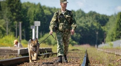 Наблюдатели ОБСЕ пожаловались на украинских пограничников, спустивших на них собак