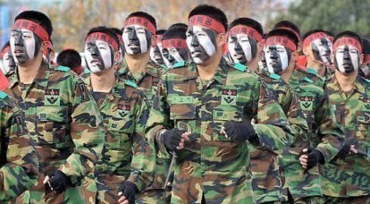Südkoreanische Spezialeinheiten