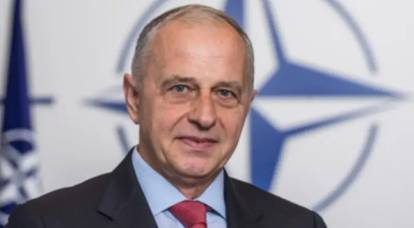 Заместитель генсека НАТО: У альянса нет никаких намерений размещать солдат на Украине