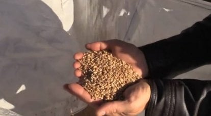 В ряде стран Европы не знают, куда девать скопившиеся излишки украинского зерна