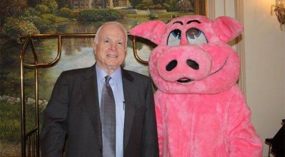 McCain은 LPR의 선거에 참관인으로 초대되었지만 초대를 거부했습니다.