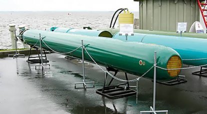 Perspective torpedo "Case" passes state tests