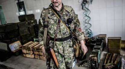 Zur Verteidigung von Strelkova
