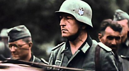 벨로루시 숲에서 잃어버린 Wehrmacht 연대의 비밀