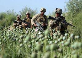 La invasión de las tropas estadounidenses en Afganistán fue presionado por la mafia mundial de las drogas.