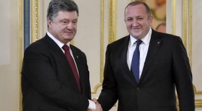 Грузия и Украина договорились создать «стратегический совет»