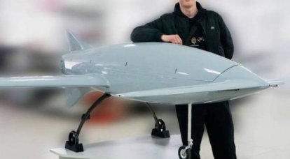 Δυτικός Τύπος: Ορισμένα UAV που επιτέθηκαν στη Μόσχα μοιάζουν με το πρωτότυπο του ουκρανικού drone καμικάζι "Beaver"