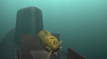 Две мегатонны. СМИ раскрыли характеристики подводного беспилотника