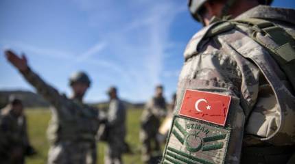 Стальная хватка «мягкой силы»: Турция в Сирии