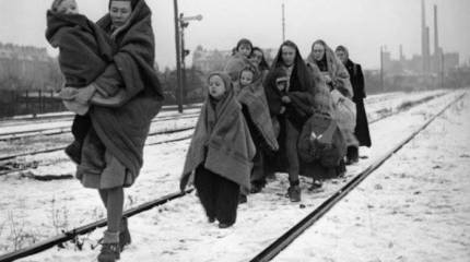 Пусть платят! Польша намерена «поставить на деньги» всех своих соседей