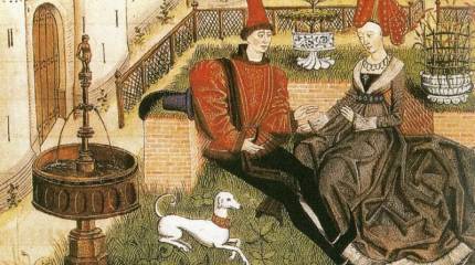 Любители кошек умнее