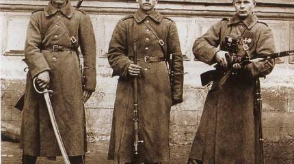 1-я кавалерийская в Восточной Пруссии летом-осенью 1914 года. Часть 1