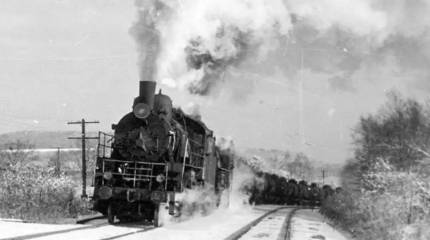 Сколько подмосковного угля сжигали паровозы?