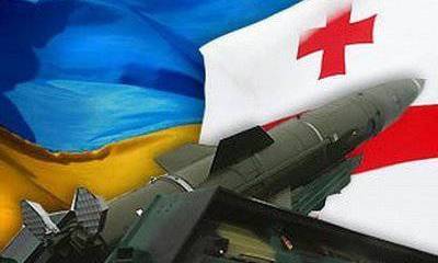 Анатолий Вассерман : Россия всё равно простит? К вопросу о поставках украинского оружия в Грузию