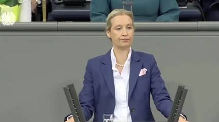 Сопредседатель партии АдГ призвала восстановить работу «Северных потоков»