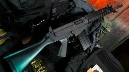 «Каждая лягушка своё болото хвалит», или от легендарной FAL к легендарной AR-10