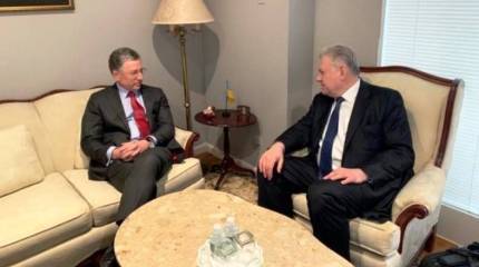 Волкер и Ельченко обсудили план миротворческой операции в Донбассе