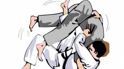 Политика в стиле масутэми вадза. Ай да Путин!