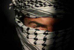 Исламское государство: откуда оно взялось?