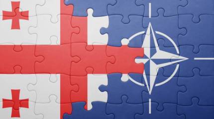 Грузия просит НАТО создать новый центр подготовки