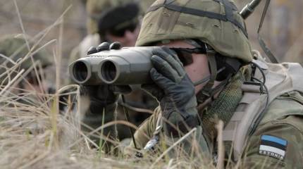 Эстония запланировала рекордные военные расходы на 2019 год