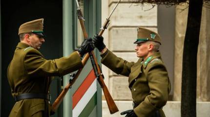 НАТО может быть настойчиво в плане ввода войск в Венгрию из-за опасений проблем с Закарпатьем