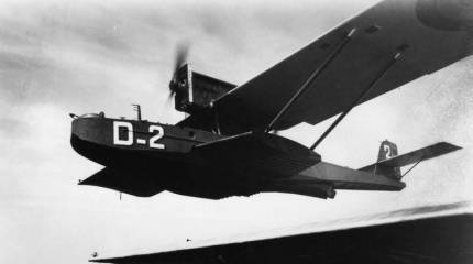 Дюралевый кит