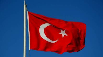 Российский сенатор заявил, что недавние действия Турции делают ее недружественной по отношению к РФ страной