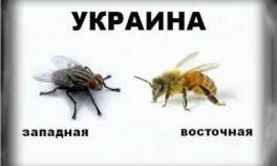 Очень хочется денег