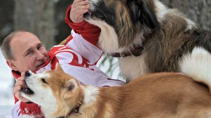 Страна расцветает на морозе