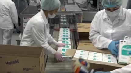 О буме импортозамещения