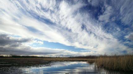 Ирландский журналист: раздувая антироссийскую истерию, западные СМИ выдумали «сибирский сепаратизм»