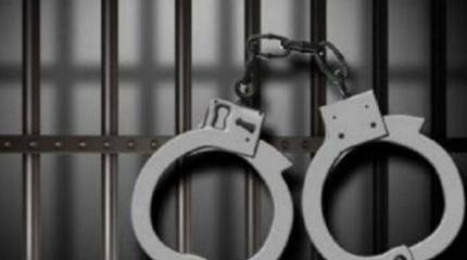 Два разных  дела о госизмене