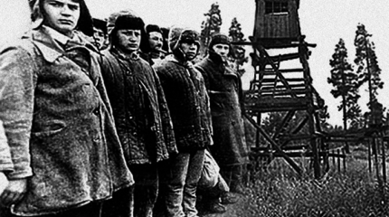 Всё, что вы хотели знать о «Сталинских репрессиях», но боялись спросить Всё, что вы хотели знать о «Сталинских репрессиях», но боялись спросить