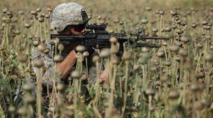 Аферы войны ("Slate", США)