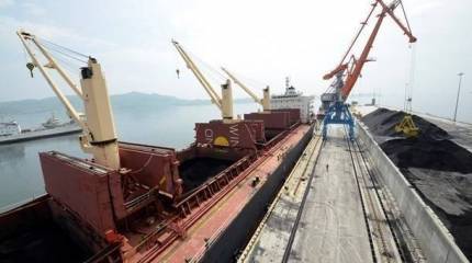 Записки Колорадского Таракана. И кто тут юродивый?