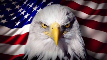 Экс-чиновник НАТО обвинил Вашингтон в предательстве