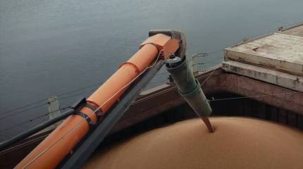 Пекин и Москва подписали крупнейший контракт на поставку российских зерновых в Китай