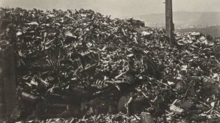 Бои под Верденом. Кровавая стратегия. Ч. 1