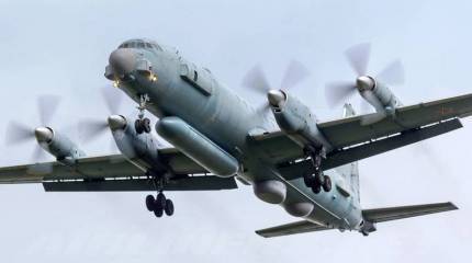 Детально и поминутно. МО опубликует всю информацию по сбитому Ил-20